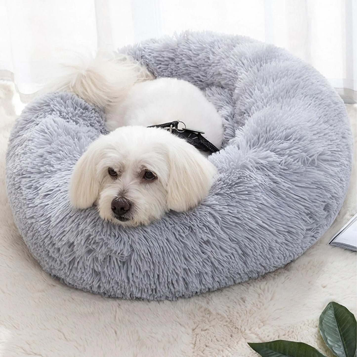 Lemuluxe Cat Beds for Indoor Cats 20 inches Cat Bed Fluffy Round Dog Bed Calming Soft Plush Donut Cat Bed Anti-SlipPuppy Pet Bed Cat Beds for Small Medium Dogs Kittens (Grey)