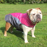 All-Weather Pet Protector Jacket